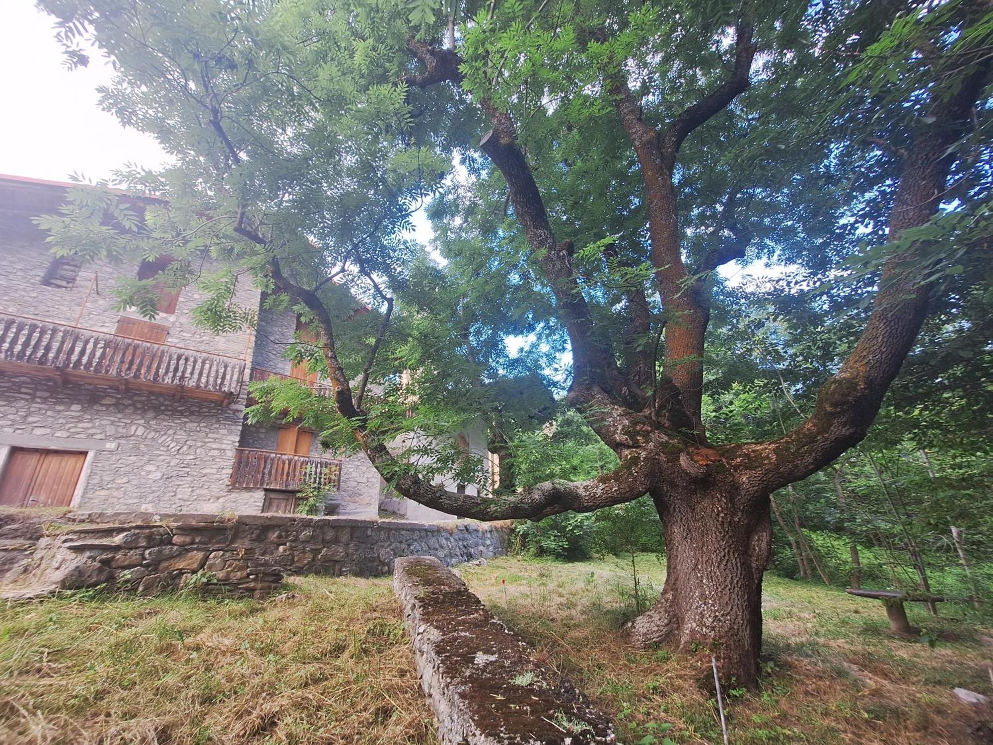 La Casa Del Gigante Frassino Leilighet Acceglio Eksteriør bilde
